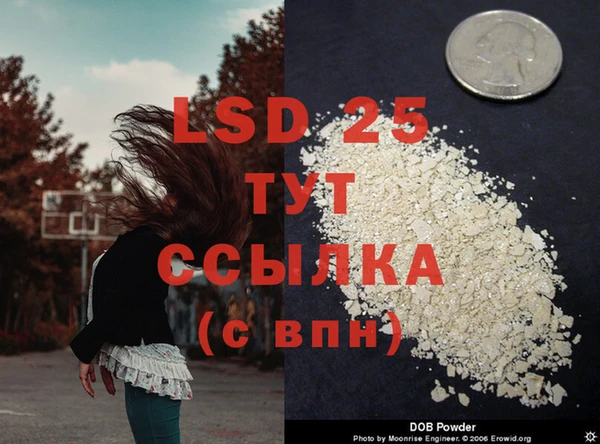 PSILOCYBIN Покров