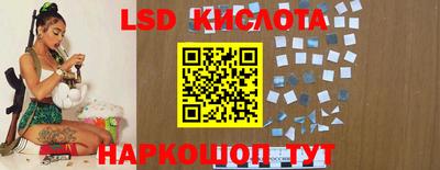 крисы Гагарин