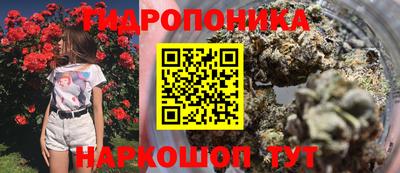 крисы Гагарин