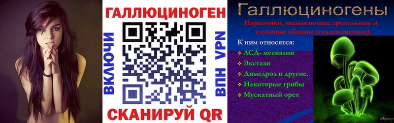 Псилоцибиновые грибы Psilocybe  Абинск 