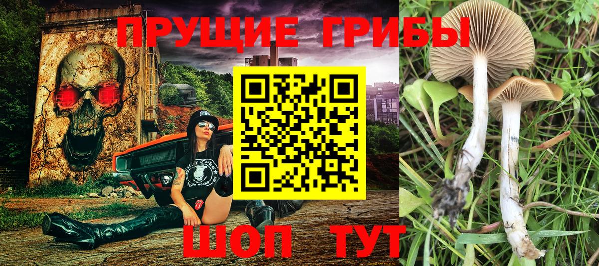 Галлюциногенные грибы MAGIC MUSHROOMS  Вход с VPN  Абинск 