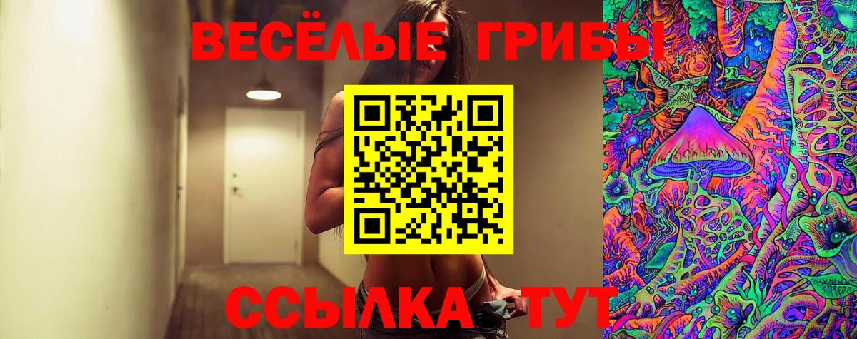 Галлюциногенные грибы MAGIC MUSHROOMS  Псилоцибиновые грибы Psilocybe  Абинск 